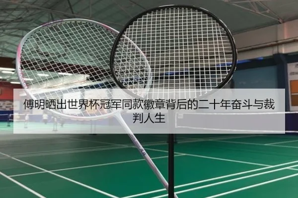 傅明晒出世界杯冠军同款徽章背后的二十年奋斗与裁判人生