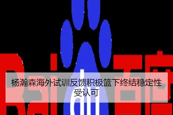 杨瀚森海外试训反馈积极篮下终结稳定性受认可