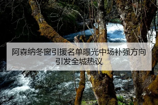 阿森纳冬窗引援名单曝光中场补强方向引发全城热议